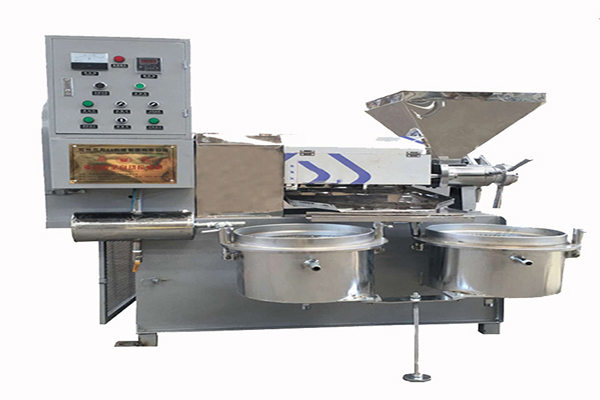 línea de producción de papas fritas | maquinaria de